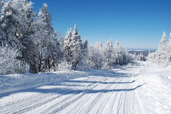 Snowmobile trail